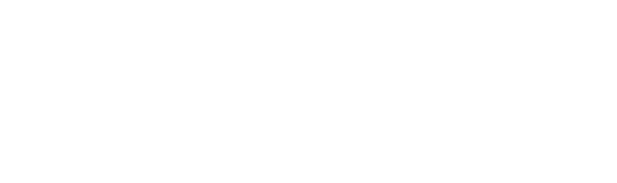 Steam